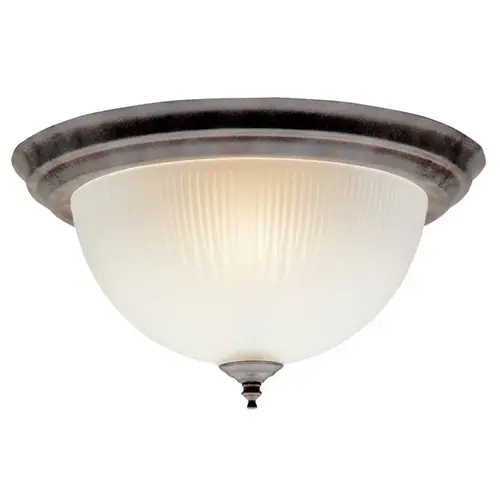 Ceiling Light 14" L