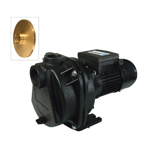 Burcam 700518Z Sprinkler Pump 2 HP 4200 gph Cast Iron