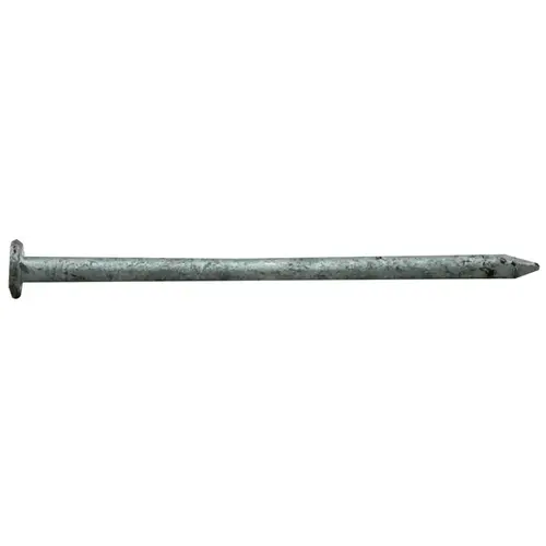 00 Common Nail, 16D, 3-1/2 in L, Steel, Hot-Dipped Galvanized, Flat Head, Round, Smooth Shank, 25 lb