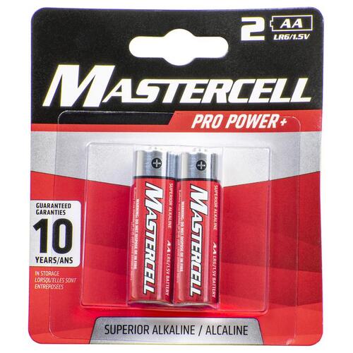 Dorcy 41-1622 Batteries Mastercell AA Alkaline 2 pk Carded