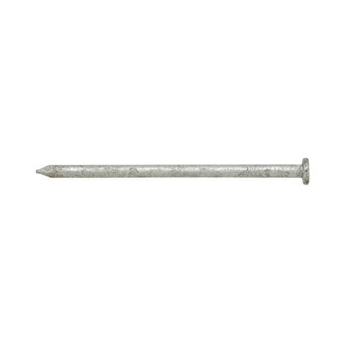 Stallion E1170392 Nail 6D 2 Common Hot Dipped Galvanized Steel Flat Head 5 Lb Hot Dipped Galvanized