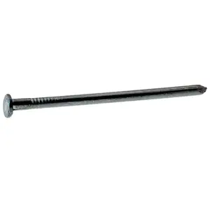 Grip-Rite 8D 2-1/2 in. Common Bright Steel Nail Flat Head 1 lb Grip-Rite 8D 2-1/2 in. Common Bright Steel Nail Flat Head 1 lb