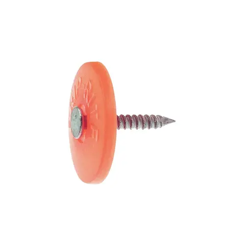 Nail No. 12 1" Cap Bright Steel Full Round Head 1 lb Bright