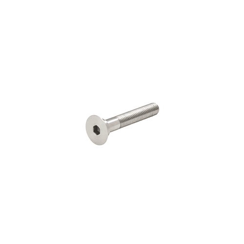 316 Brushed Stainless Steel 2-1/2" Long Bolt for RRF10BS Glass Fitting