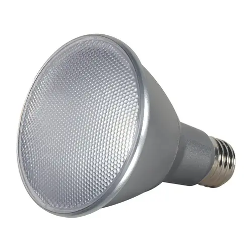 LED Bulb PAR30LN E26 (Medium) Warm White 75 W Silver