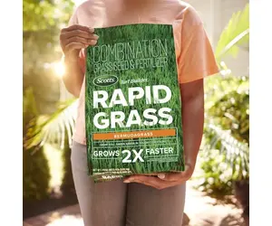 Scotts 18360 Turf Builder Grass Seed, 8 lb Bag Blue/Green