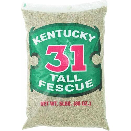 Barenbrug 12115 Grass Seed Kentucky 31 Tall Fescue Grass Sun or Shade 25 lb
