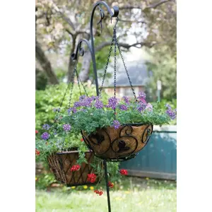 Panacea Black Steel 84 in. H Double Crook and Shepherd Leaf Plant Hook 1 pk