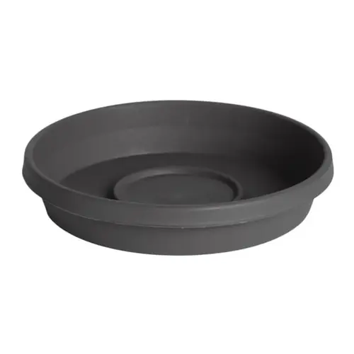 Tray Terra 1" H X 5.5" W X 5.5" D X 5.5" D Plastic Charcoal Matte