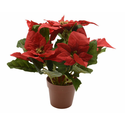 Decoris 627876-XCP12 Indoor Christmas Decor Red Potted Poinsettia Red - pack of 12