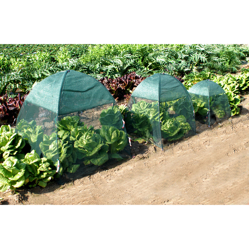 Plant Protector Cover Bugn Shade 22" L X 22" W Green