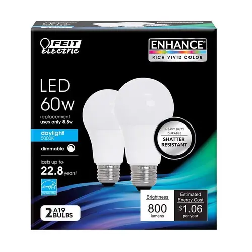 LED Bulb Enhance A19 E26 (Medium) Daylight 60 W Frosted Pair