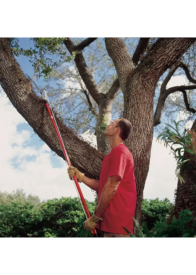 Corona TP 3841 Tree Pruner, 1 in Cutting Capacity