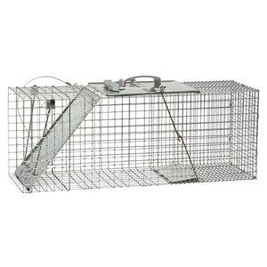 Havahart Easy Set Live Raccoon Trap, Gray, L