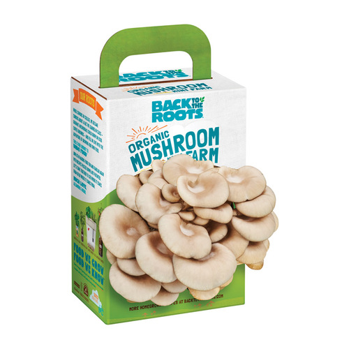 Mini Farm Mushroom