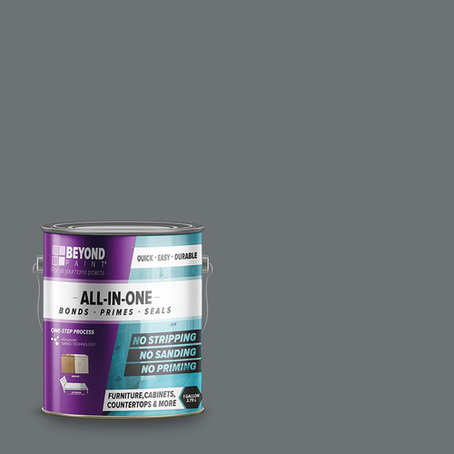 Beyond Paint BP20-XCP2 All-In-One Paint Matte Pewter Water-Based Exterior and Interior 46 g/L 1 gal Pewter - pack of 2