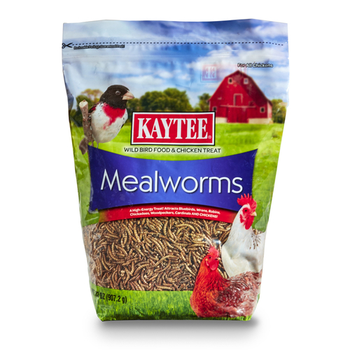 Kaytee 100527190 Mealworms Wild Bird/Poultry Dried Mealworm 32 oz