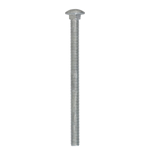 Carriage Bolt 3/8" X 5-1/2" L Hot Dipped Galvanized Steel Hot Dipped Galvanized