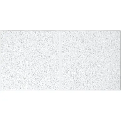 USG Ceilings R2742 Ceiling Panel Radar Basic Illusion 2/24 Non-Directional 48" L X 24" W 0.75" Shadow Line Tape White
