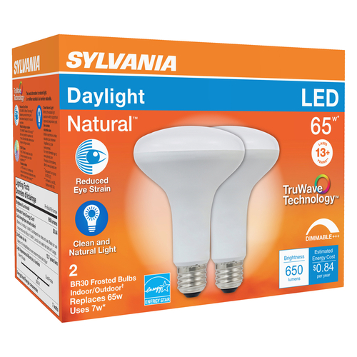 Sylvania 3005235 LED Floodlight Bulb Natural BR30 E26 (Medium) Daylight 65 W Frosted