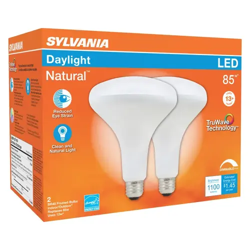 Natural LED Bulb, Spotlight, BR40 Lamp, 85 W Equivalent, E26 Lamp Base, Dimmable, Frosted, Daylight Light Pair