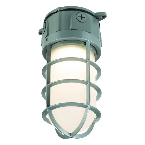 Area Light Vaportight Switch Hardwired LED Gray Gray
