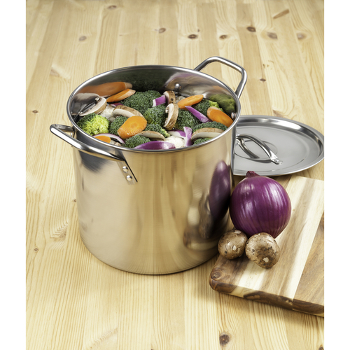 Stock Pot Stainless Steel 11" 16 qt Silver Silver