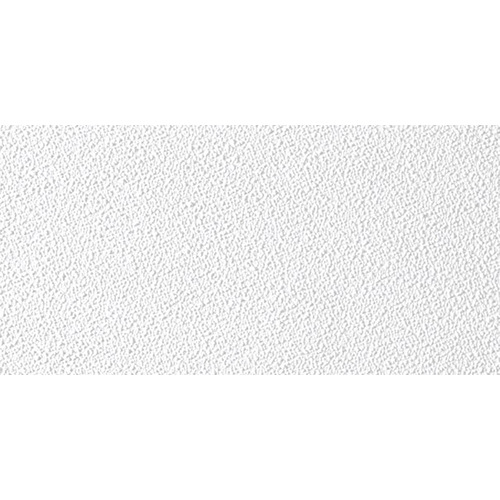 Ceiling Panel Sheetrock 4 ft. L X 2 ft. W 0.5" Square Edge White