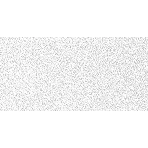 Ceiling Panel Sheetrock 4 ft. L X 2 ft. W 0.5" Square Edge White