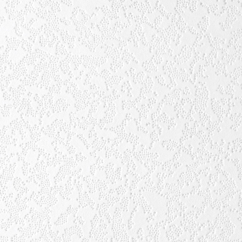 USG 824260-XCP32 Ceiling Tile Lace 12" L X 12" W 0.5" Staple White - pack of 32