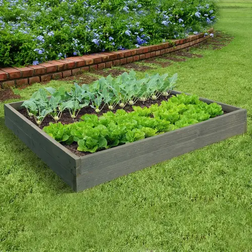 Planter Box 4" H X 4" W Wood Rustic Gray Rustic Gray