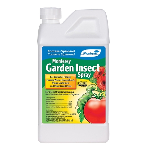 Insect Killer Organic Liquid Concentrate 32 oz