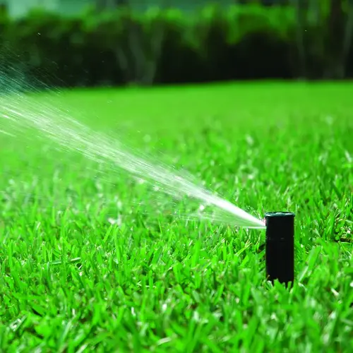 新品 ホックニー ハンカチ A Lawn Sprinkler 新品 ホックニー ハンカチ A Lawn Sprinkler その他