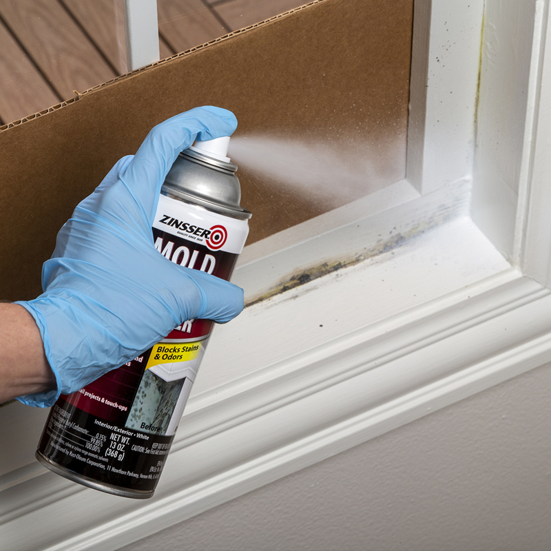 Zinsser 287512-XCP6 Mold Blocking Primer, White, 13 oz