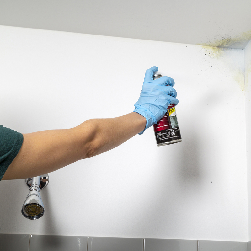 Sale at unbeatable price - Unusual Zinsser 287512 Mold