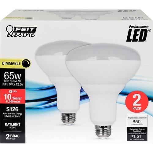 LED Bulb BR40 E26 (Medium) Daylight 65 W Frosted Pair