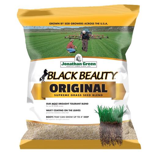 Jonathan Green 10318 Grass Seed Black Beauty Tall Fescue Grass Sun or