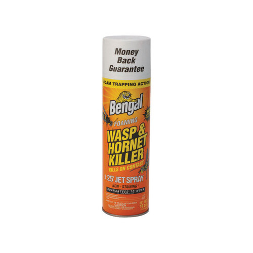 Bengal 7196579 Insect Killer Foaming Foam 18 oz