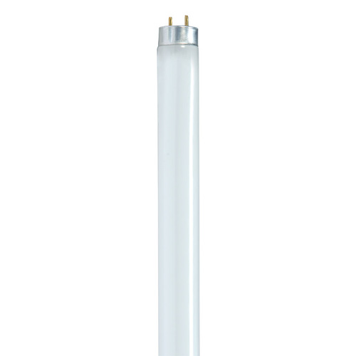 Satco S8420 Fluorescent Bulb 32 W T8 1" D X 48" L Cool White Linear 4100 K Frosted