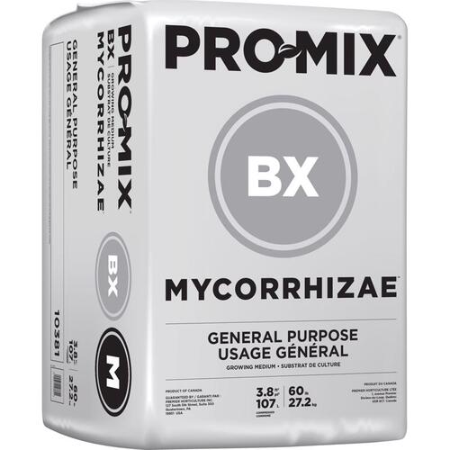 PRO-MIX 10381RG Growing Mix BX All Purpose 60 Blond/Light Brown