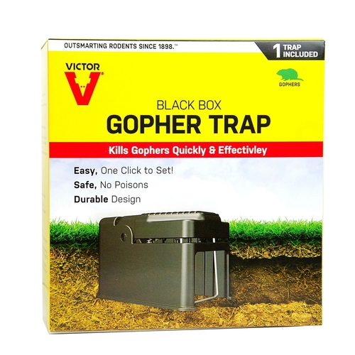 The Black Box Black Painted Metal Gopher Trap