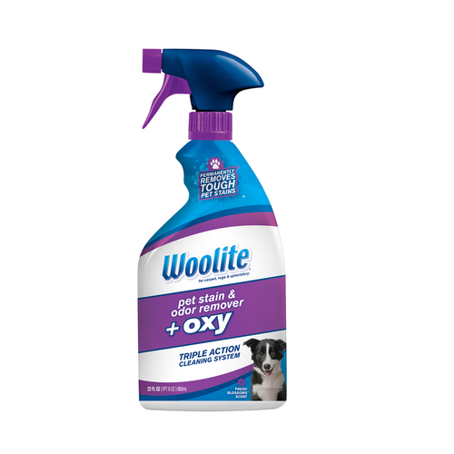 BISSELL 0890 Woolite Pet Stain and Odor Remover, Liquid, Characteristic, 22 oz