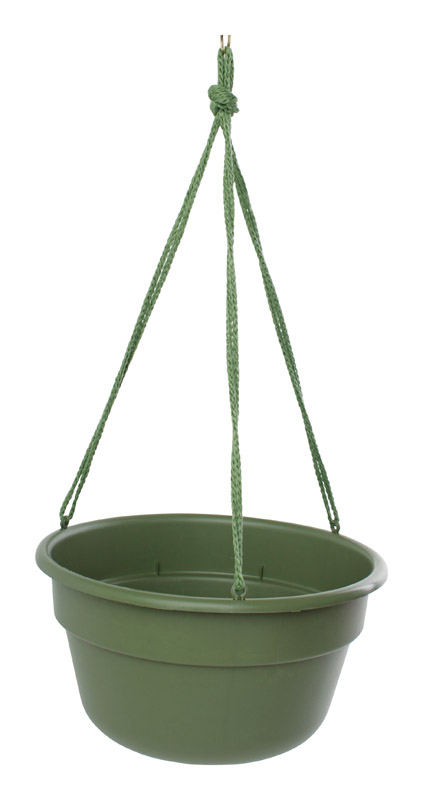 Bloem DCHB12-42 Hanging Basket 6.8" H X 12.4" D Resin Dura Cotta Living Green Living Green