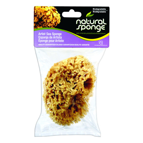 Packaged Natural Sponge, B2B