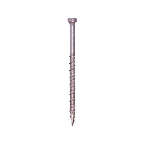 Screw, 2-1/2 in L, Trim Head, Stainless Steel - pack of 365