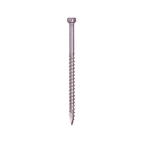 Screw, 3-1/8 in L, Trim Head, Stainless Steel, 100 PK - pack of 100