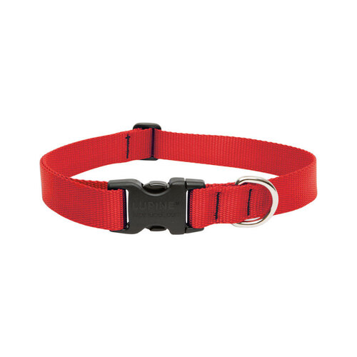 Lupine Pet 22552 Adjustable Collar Basic Solids Red Red Nylon Dog Red
