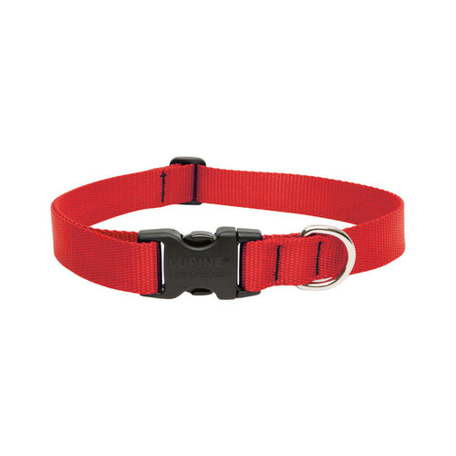 Adjustable Collar Basic Solids Red Red Nylon Dog Red