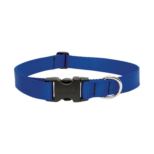 Lupine Pet 17552 Adjustable Collar Basic Solids Blue Blue Nylon Dog Blue