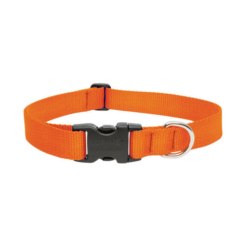 Lupine Pet 52552 Adjustable Collar Basic Solids Blaze Orange Blaze Orange Nylon Dog Blaze Orange